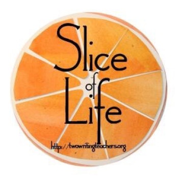 Thirty-one days of stories as part of the Slice of Life Story Challenge, hosted by Two Writing Teachers